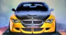 Schnitzer