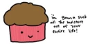 muffin