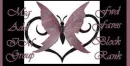 pink butterfly