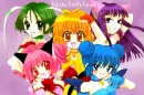 tokyo mew mew