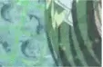 lettuce