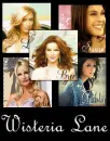 Desperate House Wives