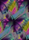 butterflies