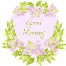 Good Morning
