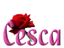 Sparkling Cesca
