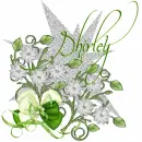 Shirley