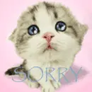 sorry!
