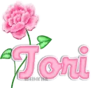 Tori