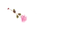 Rose Pen Light Pink - Asma