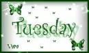 Tuesday