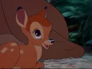 Bambi(BambiLuver100)
