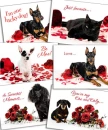 valentine's day