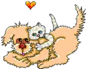 Dog & cat buddies