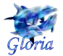 Gloria - Dolphins