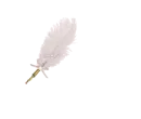 Feather Pen Cream - Tracy