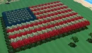American flag