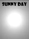 Sunny