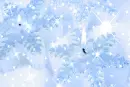 Candle snowflakes