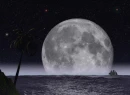 Sail into the Nite