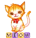 kitty kat