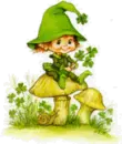 Irish Elf