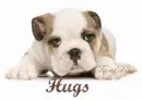 Hugs 