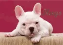 Hugs 