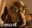 smart