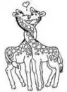 Giraffes Kissing