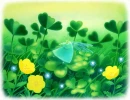 Irish Spring
