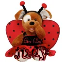 judy's teddy ladybug