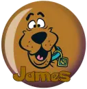 james's scooby ball