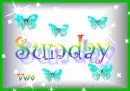 Sunday