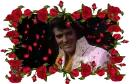 elvis