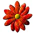 red flower
