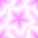 pink flowers
