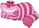 Cheshire
