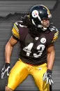 Steeler Defense