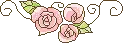 pink roses