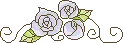 blue roses