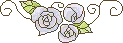 blue roses
