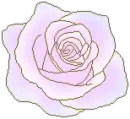 violet rose