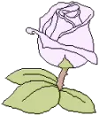 violet rose