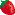 Strawberry  faced  right