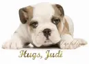 Hugs, Judi