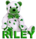 ST PADDY'S TEDDY: RILEY