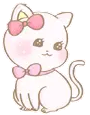 kitten