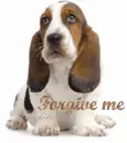 forgive me