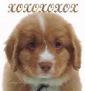 hugs and kissis xoxox