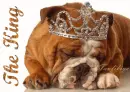 the king